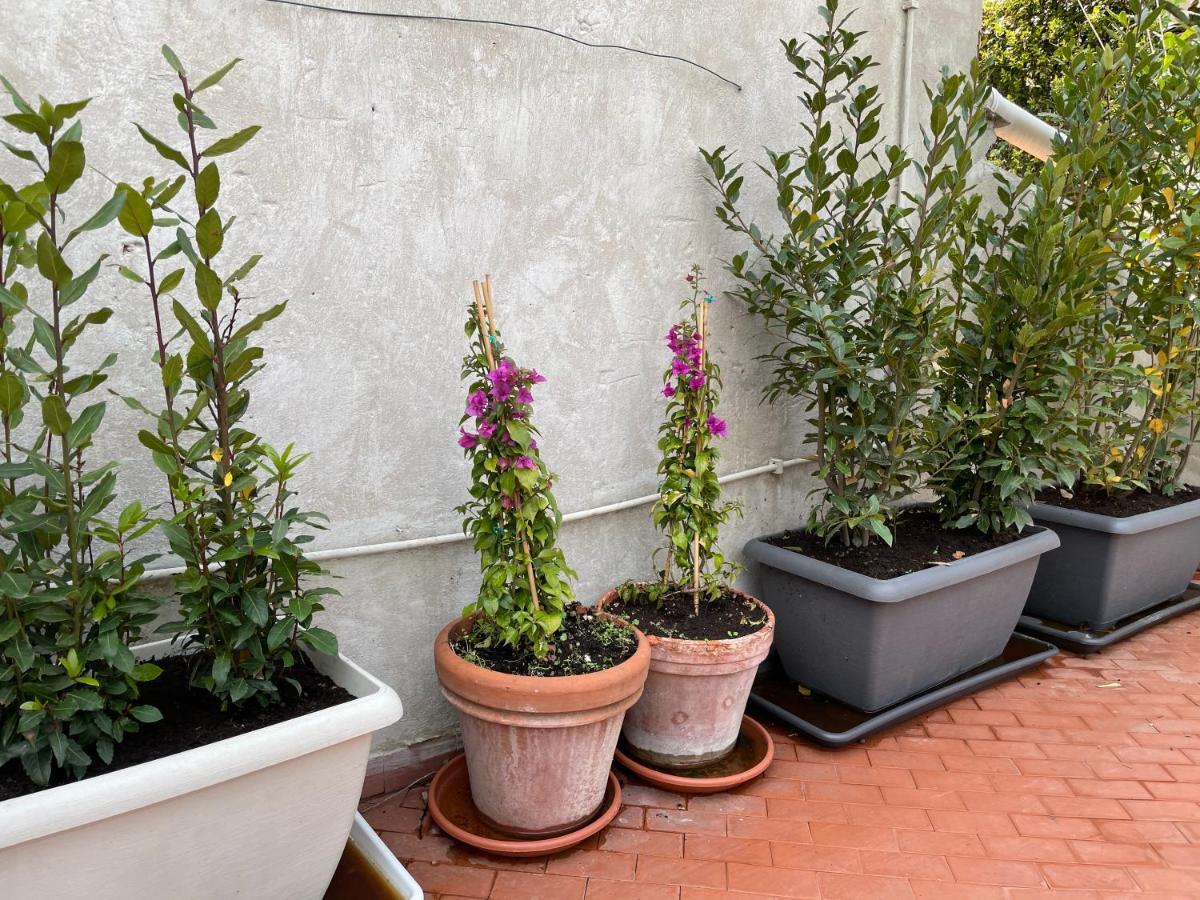 فيلا رومافي Campo De Fiori Palace المظهر الخارجي الصورة